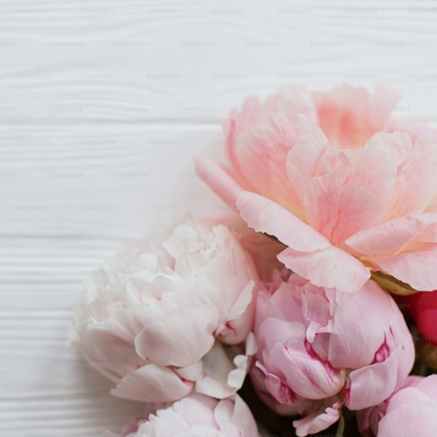 Peony Wax Flower Bouquet