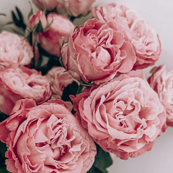Peony Wax Flower Bouquet