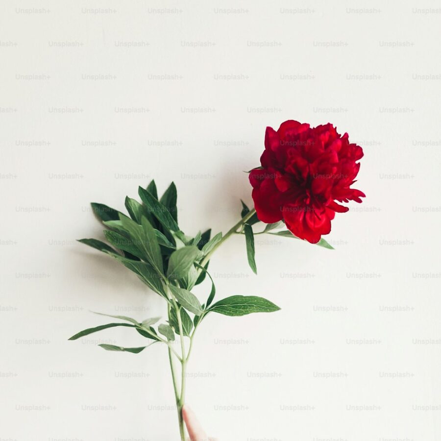 Peony Wax Flower Bouquet