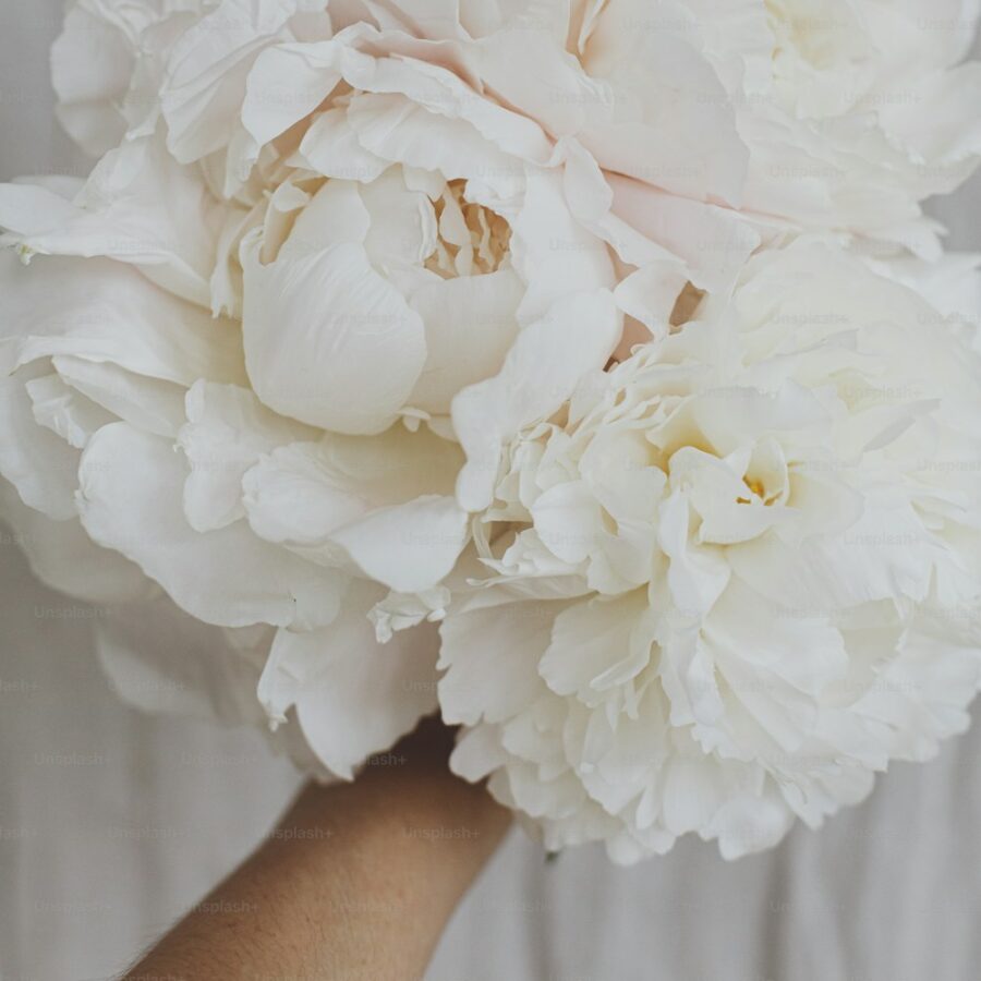 Peony Wax Flower Bouquet