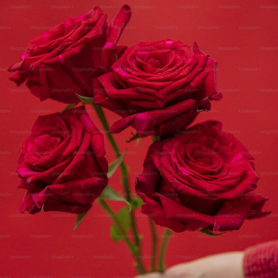 Rose Candle Bouquet – 7 roses