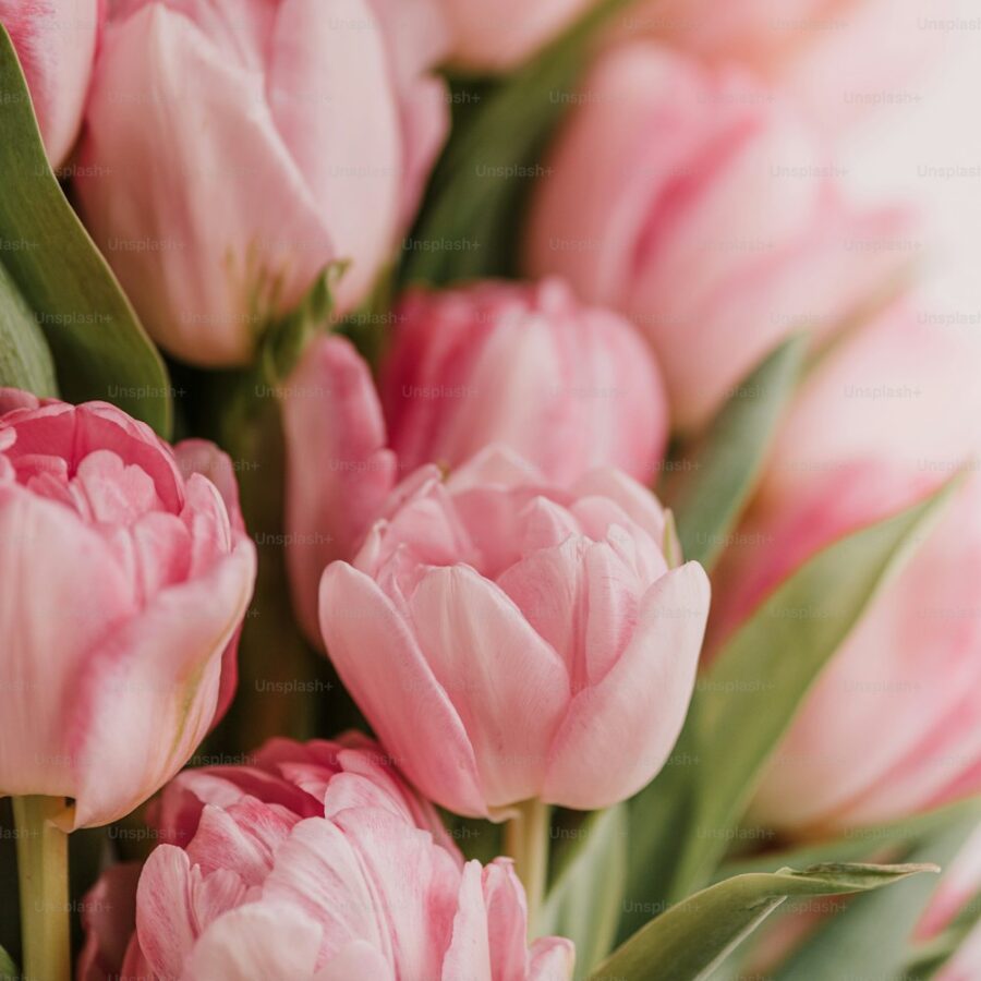 Tulip Wax Bouquet