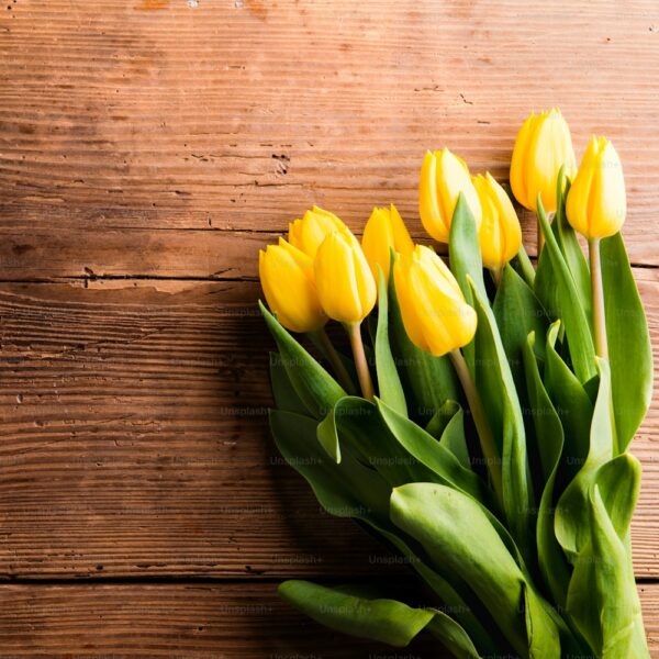 Tulip Wax Bouquet