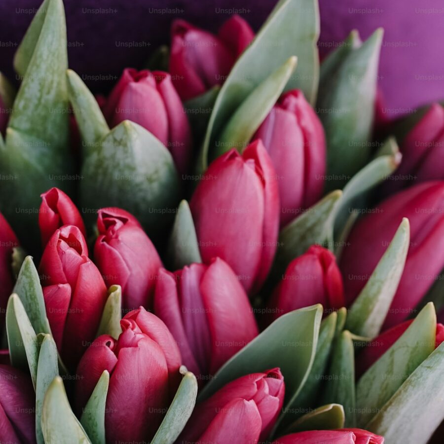 Tulip Wax Bouquet