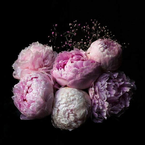 Mother's Day – Peony & Champagne Candle