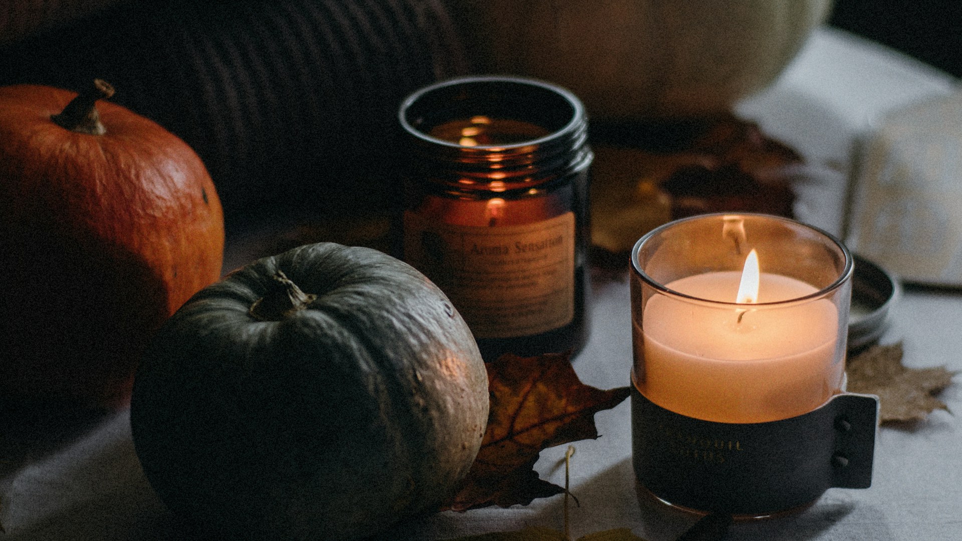 Light up
every season
